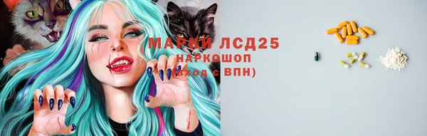 PSILOCYBIN Арсеньев