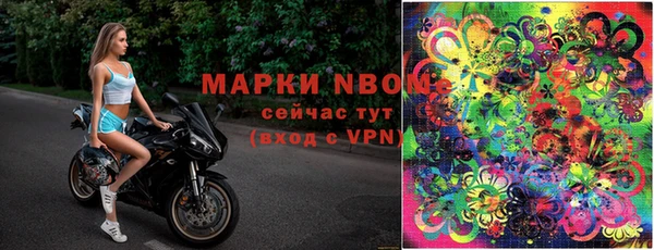 сатива Алзамай
