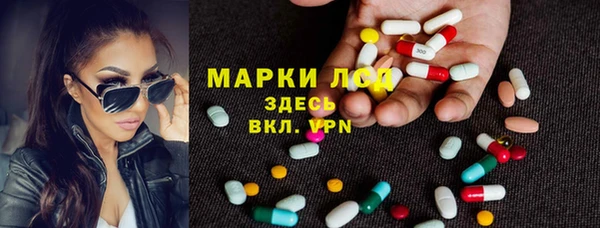 PSILOCYBIN Арсеньев